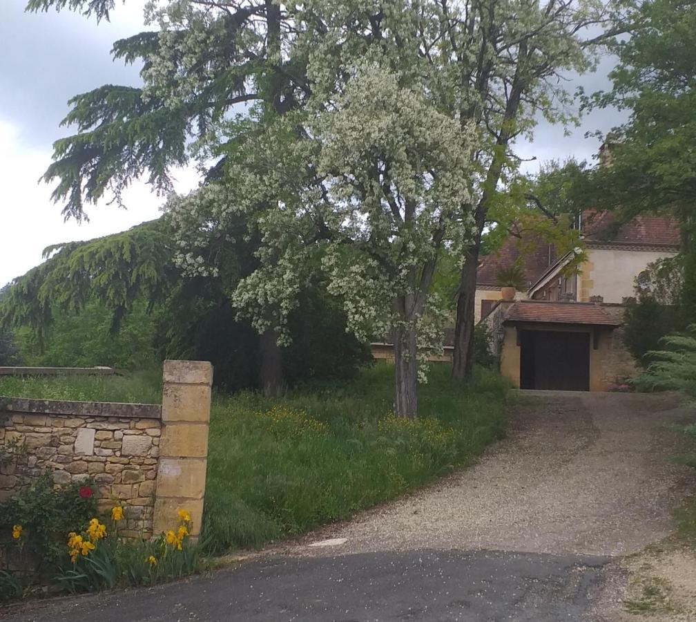 Villa Le Baron Perche à Saint-Cyprien  Extérieur photo