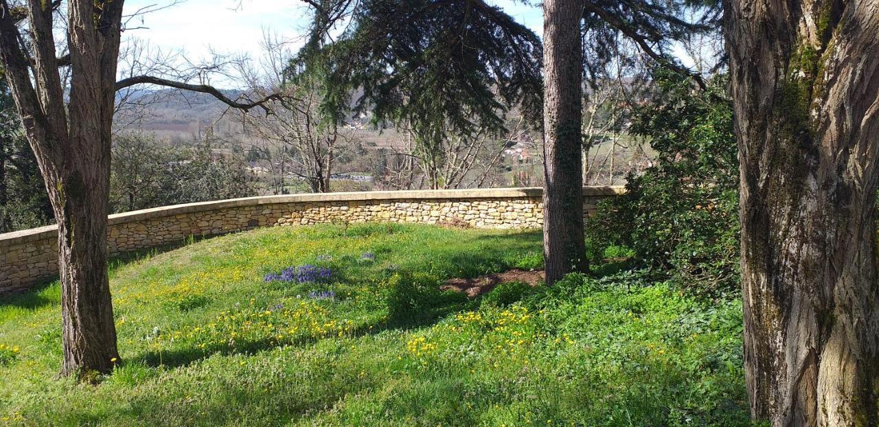 Villa Le Baron Perche à Saint-Cyprien  Extérieur photo