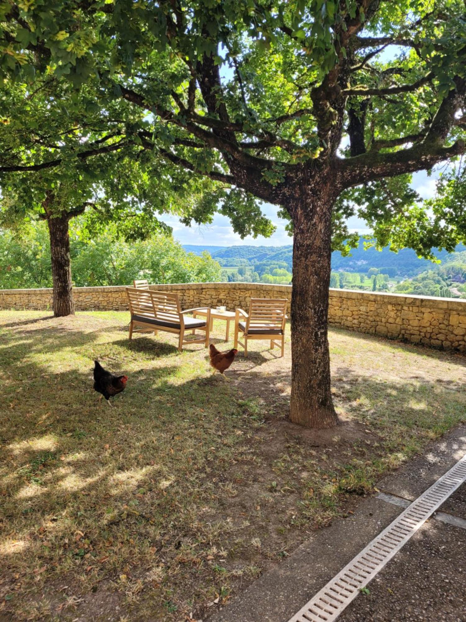 Villa Le Baron Perche à Saint-Cyprien  Extérieur photo